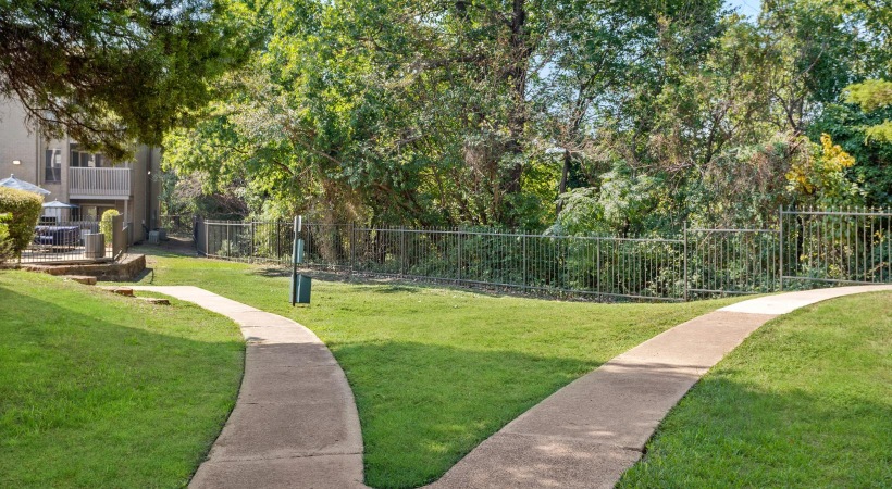 a path with grass and trees